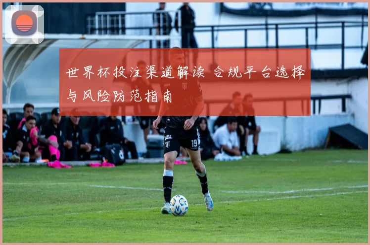 世界杯投注渠道解读 合规平台选择与风险防范指南