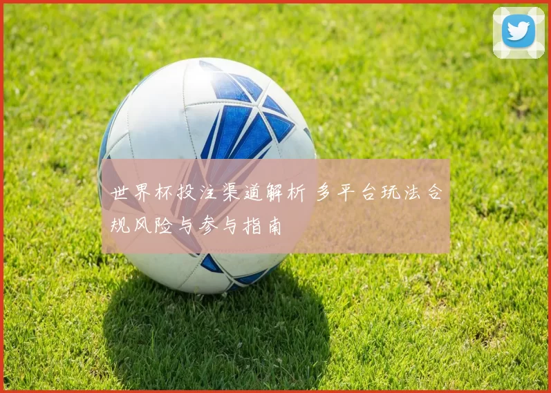 世界杯投注渠道解析 多平台玩法合规风险与参与指南