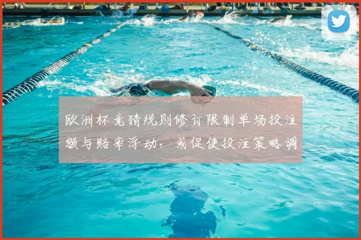欧洲杯竞猜规则修订限制单场投注额与赔率浮动,或促使投注策略调整