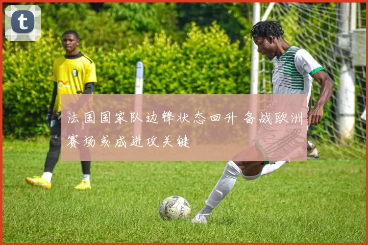 法国国家队边锋状态回升 备战欧洲赛场或成进攻关键