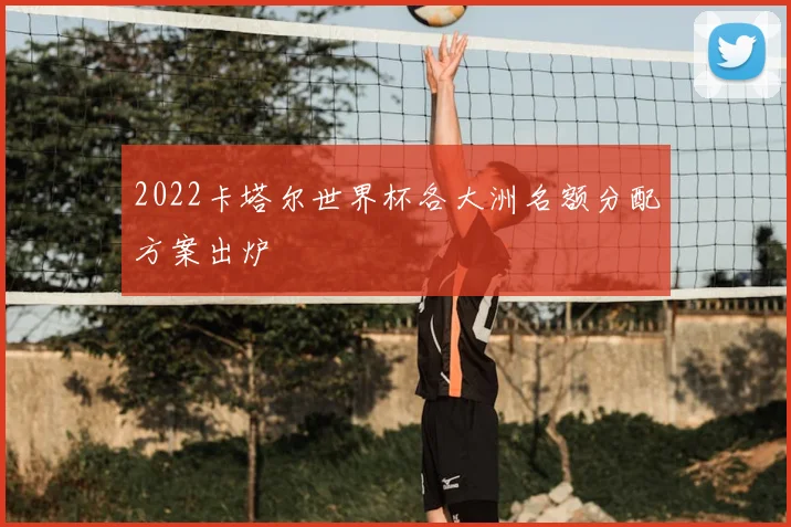 2022卡塔尔世界杯各大洲名额分配方案出炉